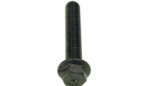 SCREW M14X80 0002620071